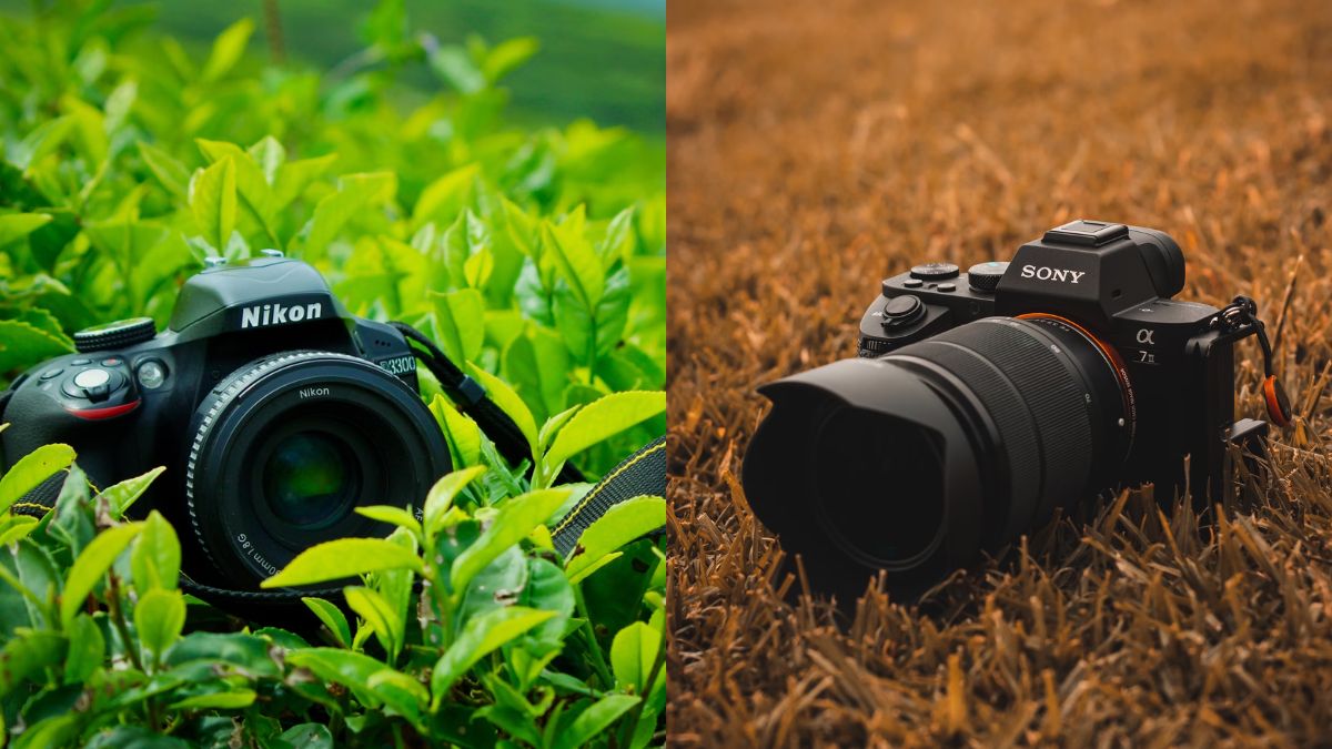 Sony Vs Nikon DSLR Camera Channel Your Visual Creativity Into Artistic